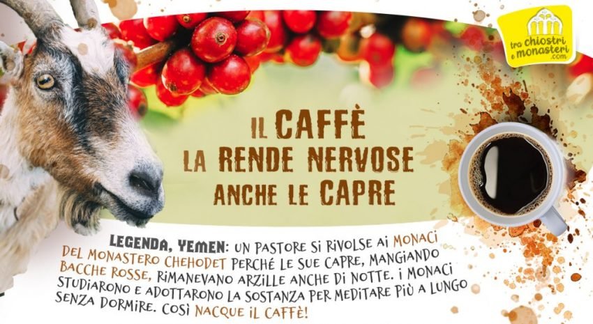 La capra, il monaco e il caffè