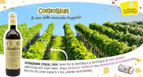 Coenobium, il vino delle trappiste di Vitorchiano