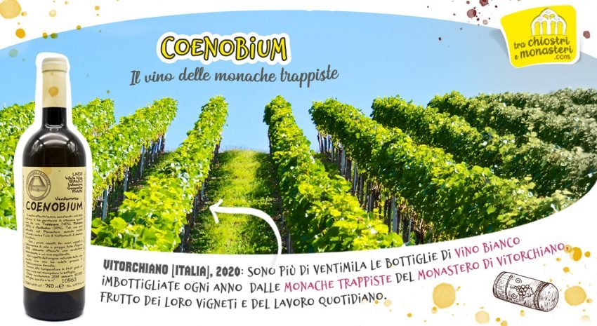 Coenobium, il vino delle trappiste di Vitorchiano