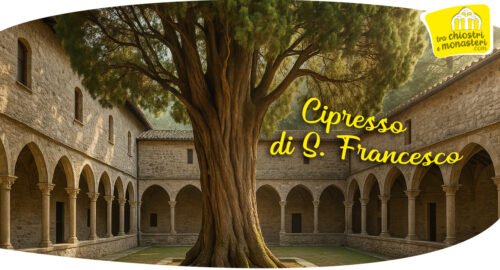 Il Cipresso di San Francesco: leggenda, scienza e spiritualità